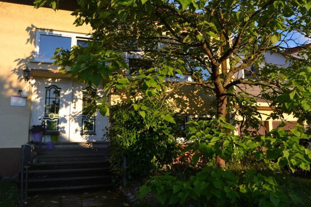 Maison Madlene Frickenhausen  Εξωτερικό φωτογραφία
